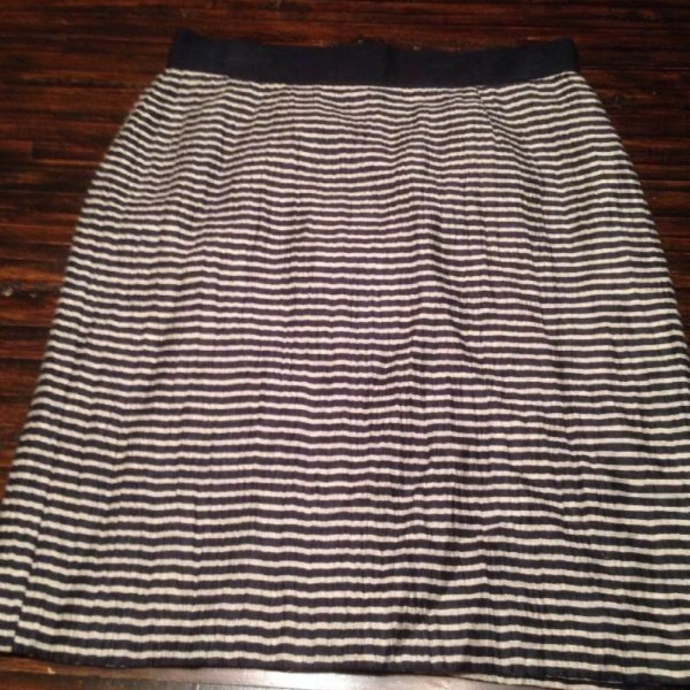 Ann Taylor Loft Navy Striped Exposed Zipper Pencil